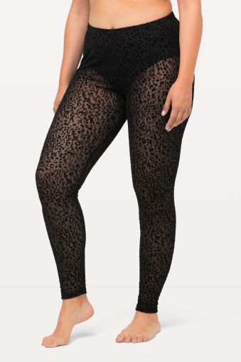 Sheer Leopard Print Leggings