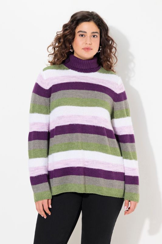 Striped Long Sleeve Turtleneck Sweater