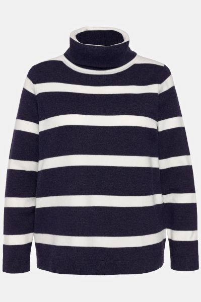 Stripe Fine Knit Turtleneck Sweater