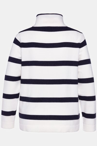 Stripe Fine Knit Turtleneck Sweater