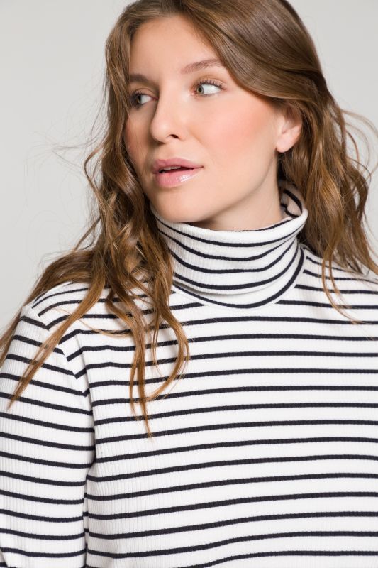 Eco Cotton Stripe Rib Knit Slim Fit Turtleneck