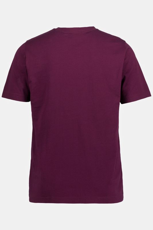 2 Pack of Essential Tees, size up to 8XL