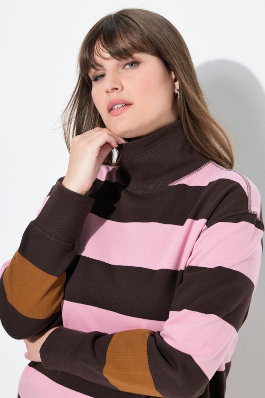 Eco Cotton Striped Turtleneck Sweatshirt