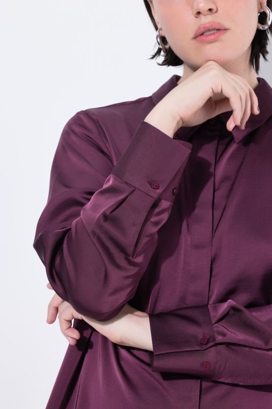 Long Sleeve Collared Satin Blouse