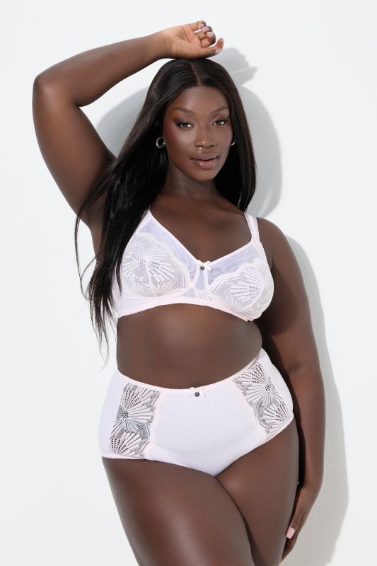 Sheer Paneled Maxi Briefs