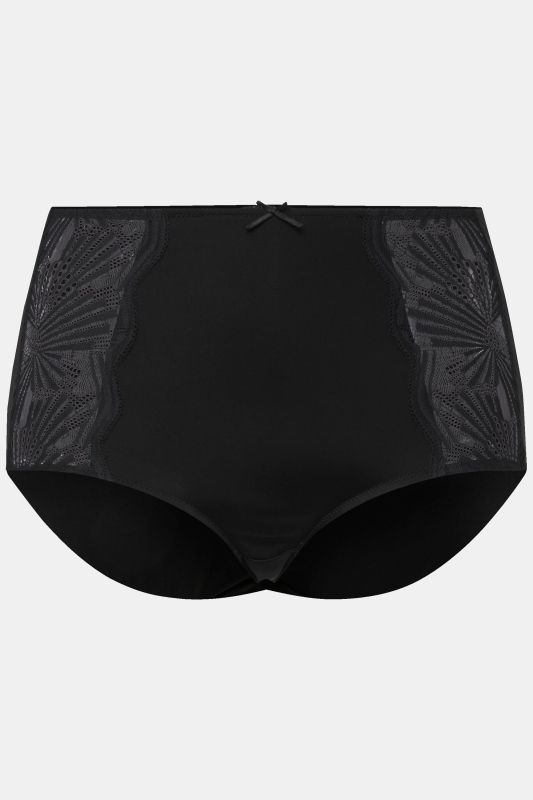 Sheer Paneled Maxi Briefs