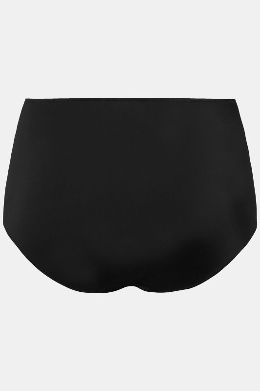 Sheer Paneled Maxi Briefs