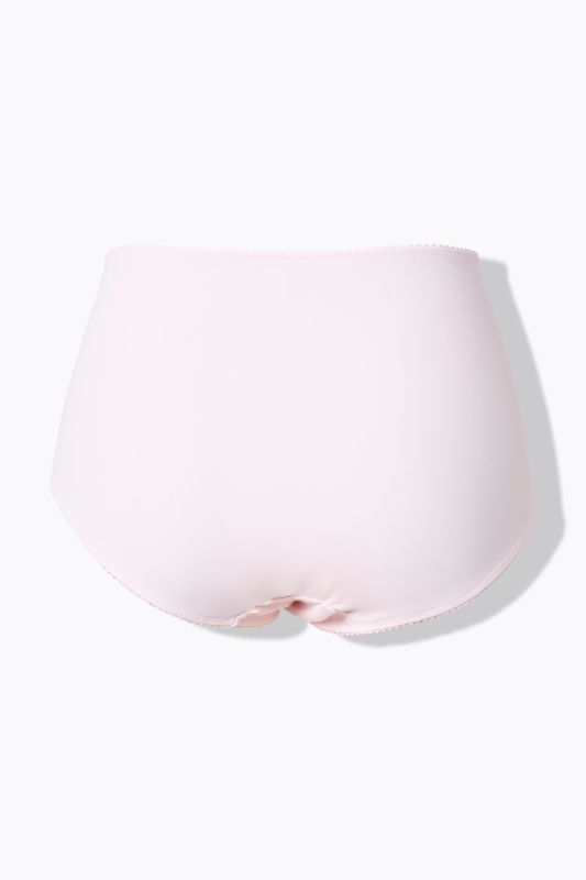 Sheer Paneled Maxi Briefs