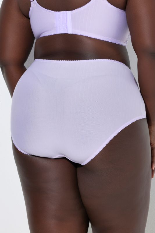 2 Pack of Stretch Microfiber Brief Panties - Pinstripe