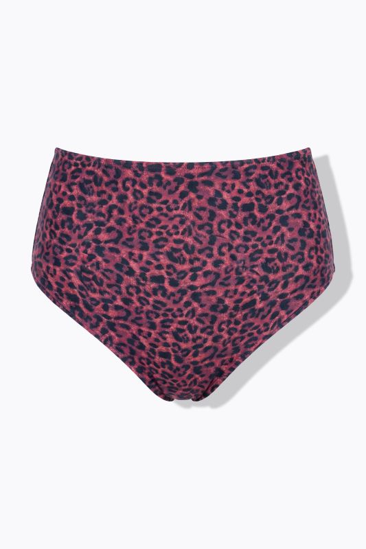 Leopard Print Shaping Bikini Briefs