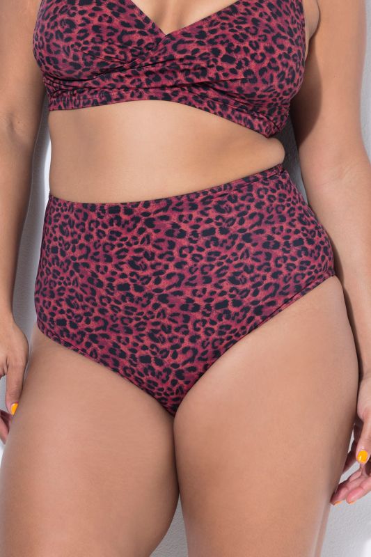 Leopard Print Shaping Bikini Briefs