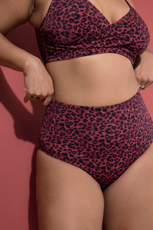 Leopard Print Shaping Bikini Briefs