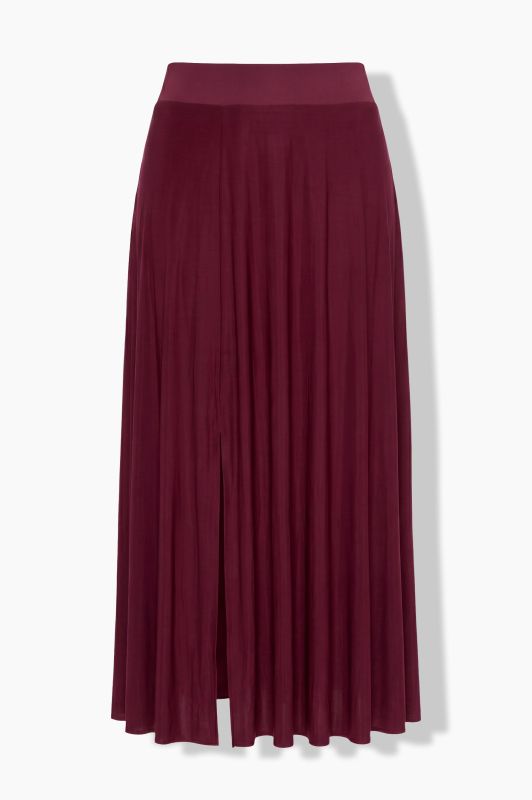 Sheer Elastic Waist Maxi Skirt
