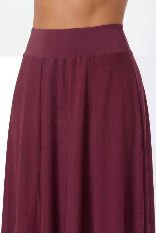 Sheer Elastic Waist Maxi Skirt