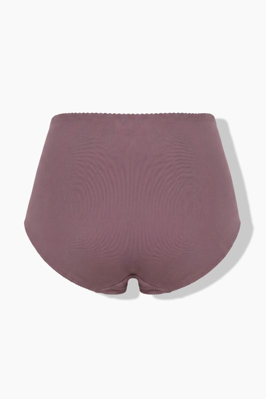 Sheer Paneled Maxi Briefs