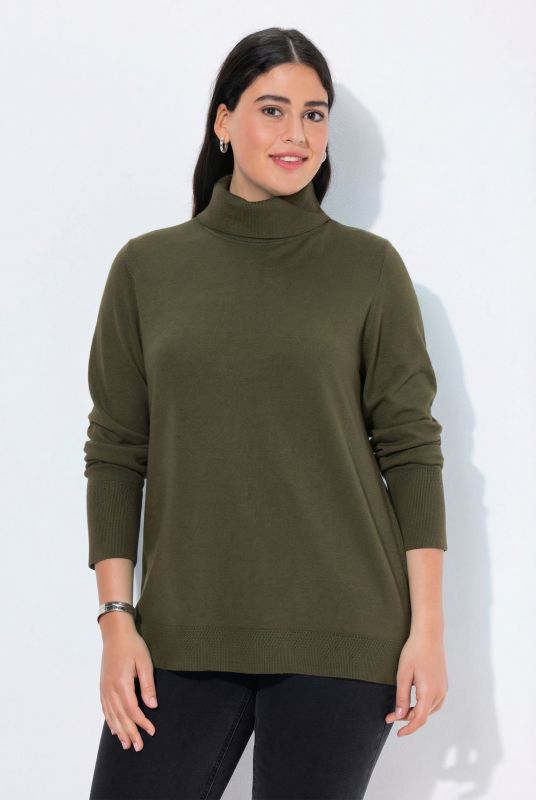 Turtleneck Ribbed Trim Long Sleeve Sweater