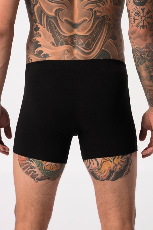 Mid pants FLEXNAMIC®, OEKO-TEX, 2-pack, underpants
