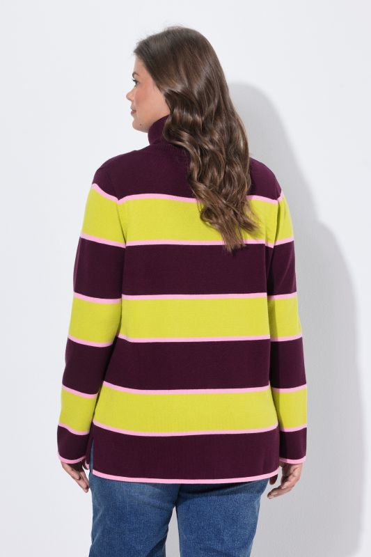 Striped Knit Turtleneck Sweater