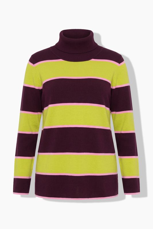 Striped Knit Turtleneck Sweater