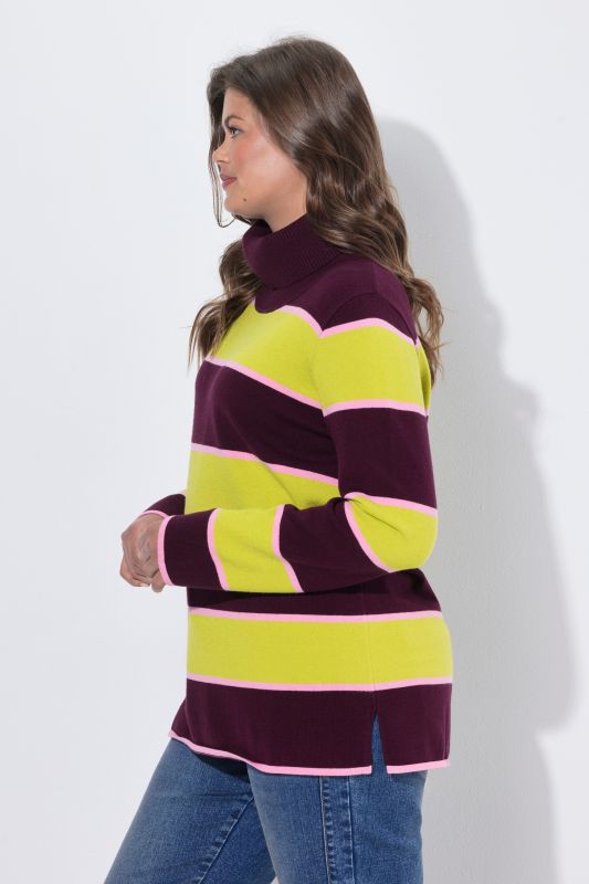Striped Knit Turtleneck Sweater