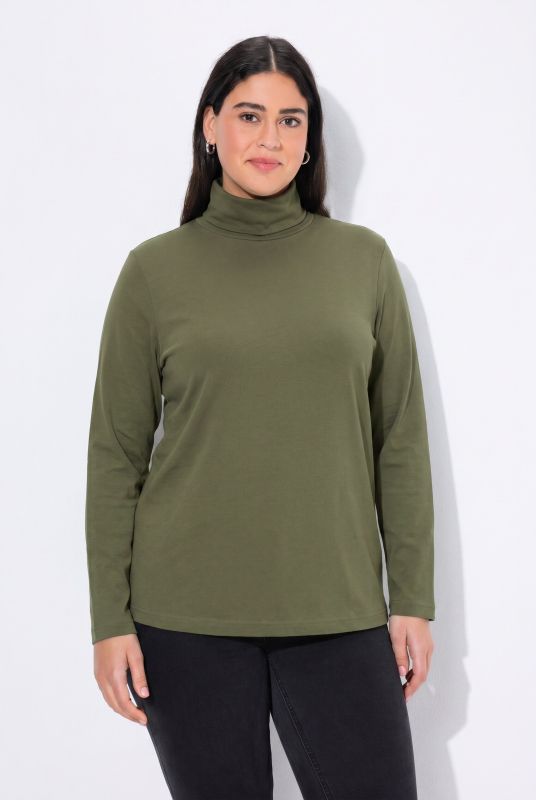Basic Long Sleeve Slim Fit Turtleneck