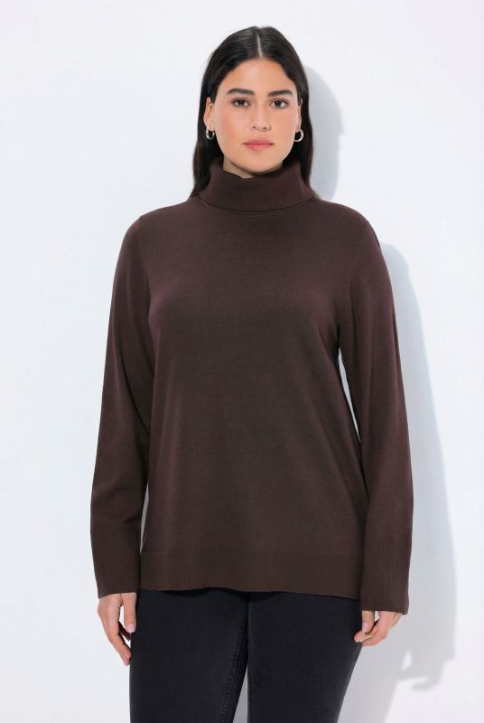 Turtleneck Ribbed Trim Long Sleeve Sweater