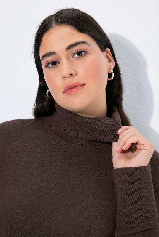 Turtleneck Ribbed Trim Long Sleeve Sweater
