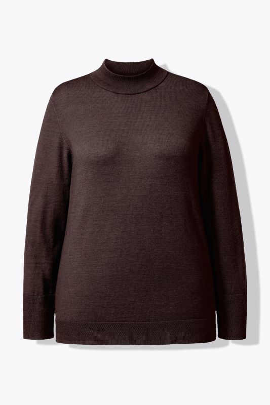 Long Sleeves Mock Turtleneck Sweater