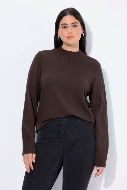 Long Sleeves Mock Turtleneck Sweater