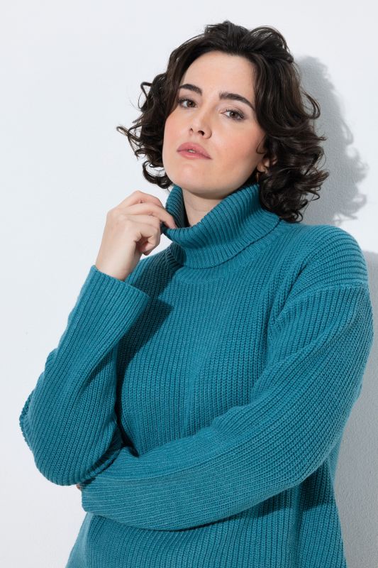 Ribbed Knit Long Sleeve Turtleneck Sweater