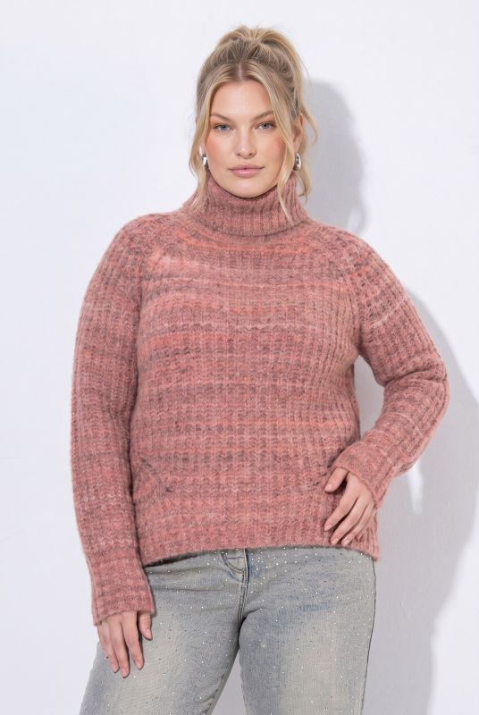 Ribbed Knit Roll Neck Raglan Sleeve Sweater