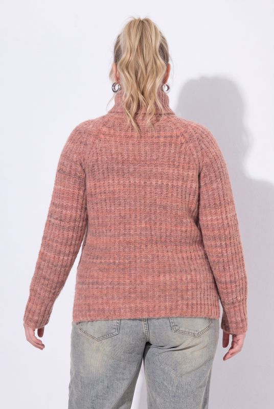 Ribbed Knit Roll Neck Raglan Sleeve Sweater