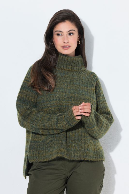 Ribbed Knit Roll Neck Raglan Sleeve Sweater