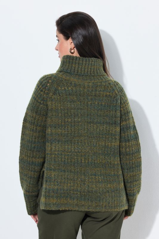 Ribbed Knit Roll Neck Raglan Sleeve Sweater