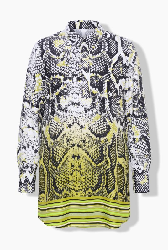 Ombre Snake Print Long Sleeve Satin Blouse