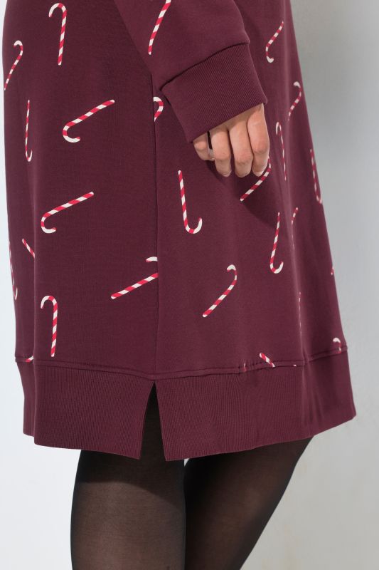 Holiday Print Long Sleeve Sweatshirt Dress