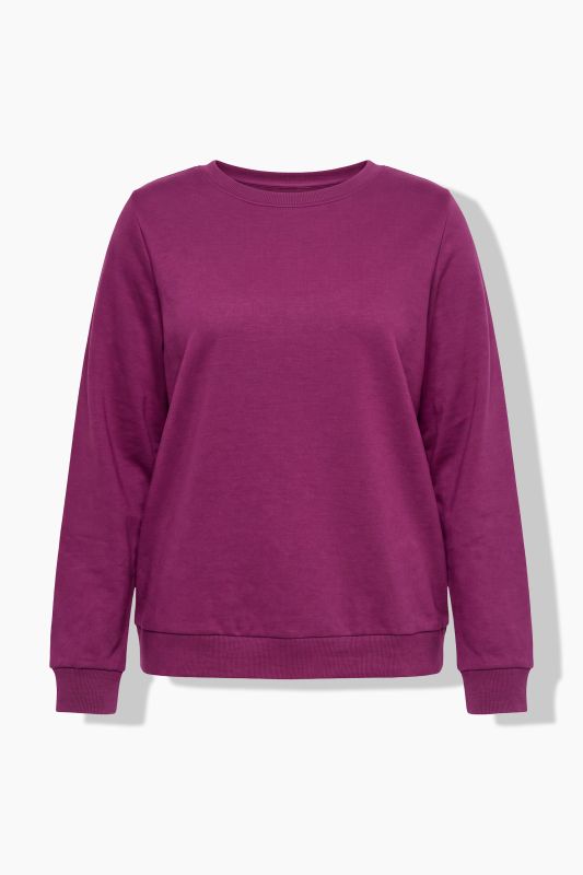 Classic Round Neck Long Sleeve Brushed Sweatshirt