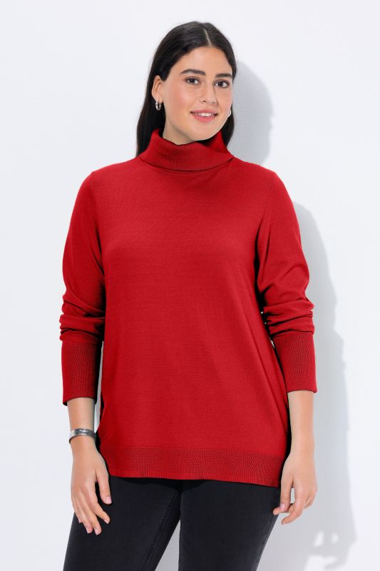 Turtleneck Ribbed Trim Long Sleeve Sweater