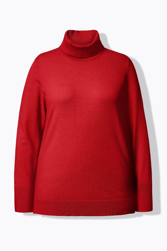 Turtleneck Ribbed Trim Long Sleeve Sweater