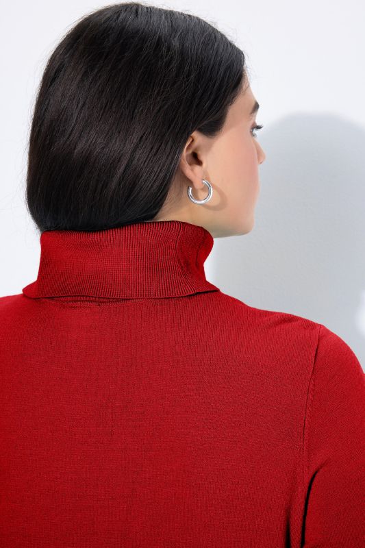 Turtleneck Ribbed Trim Long Sleeve Sweater