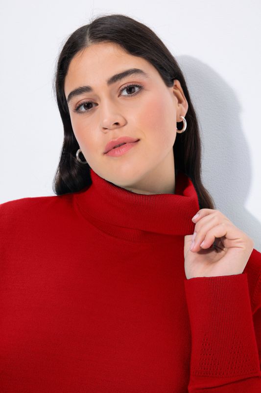 Turtleneck Ribbed Trim Long Sleeve Sweater