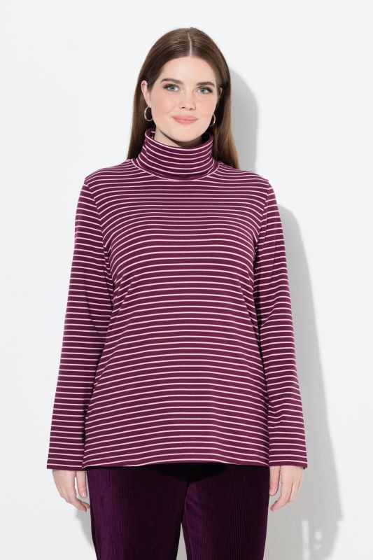 Eco Cotton Stripe Rib Knit Slim Fit Turtleneck
