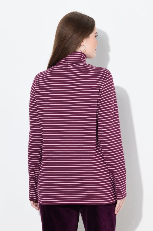 Eco Cotton Stripe Rib Knit Slim Fit Turtleneck