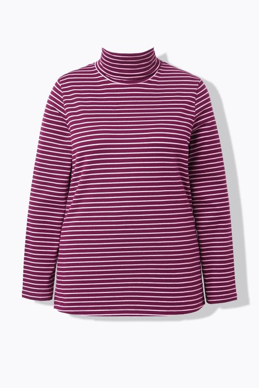 Eco Cotton Stripe Rib Knit Slim Fit Turtleneck