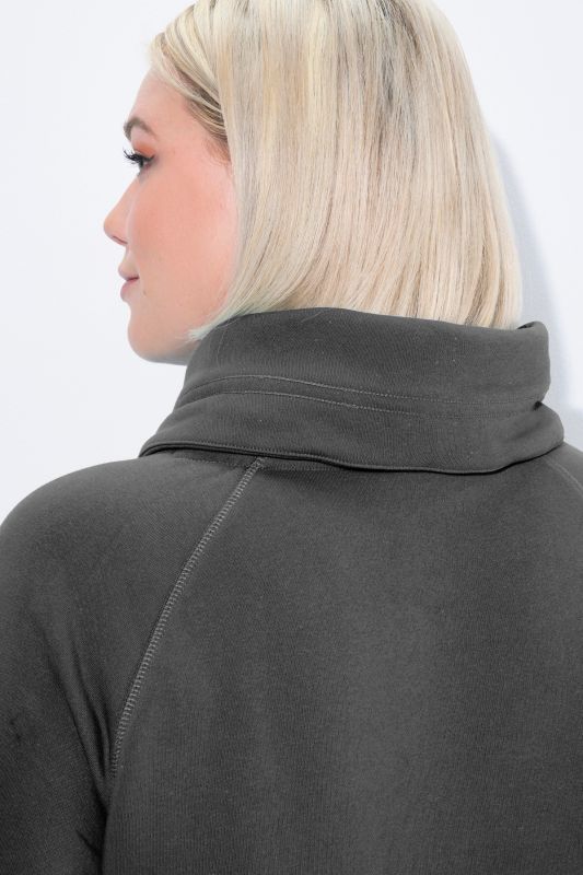 Stand-Up Collar Long Sleeve Sweatshirt Dress