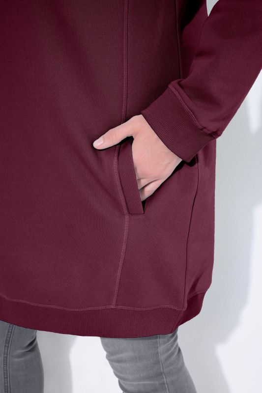 Stand-Up Collar Long Sleeve Sweatshirt Dress