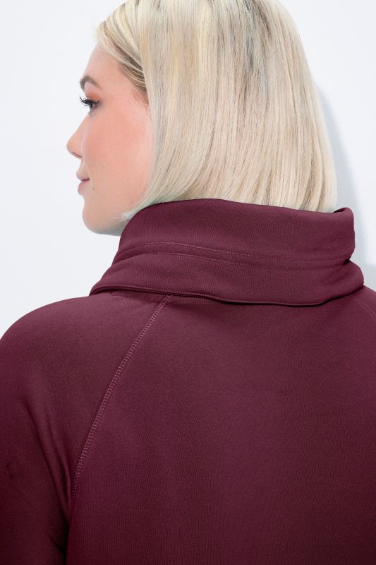 Stand-Up Collar Long Sleeve Sweatshirt Dress
