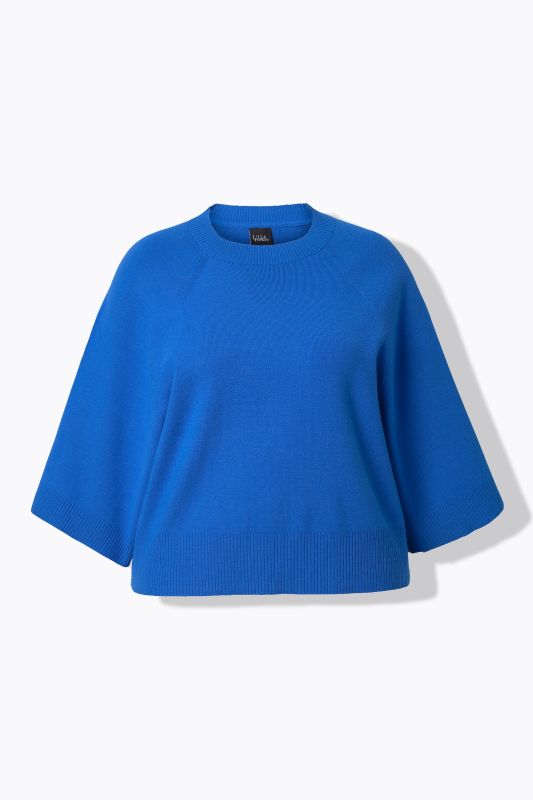 Wing Sleeve Knit Sweater