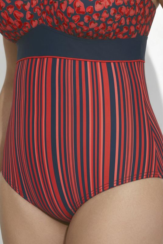 Pinstripe Strawberry One Piece Swimsuit